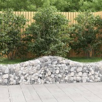  Arched Gabion Basket 200x50x40/60 cm Galvanised Iron