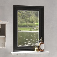 Magnetic Insect Screen for Windows Anthracite 80x120 cm