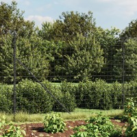  Wire Mesh Fence Anthracite 1.6x10 m Galvanised Steel