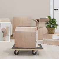  Transport Trolleys 2 pcs Rectangular 50x35x11.5 cm 250 kg