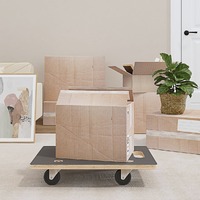  Transport Trolleys 2 pcs Rectangular 60x40x11.5 cm 250 kg