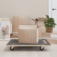  Transport Trolleys 2 pcs Rectangular 80x55x11.5 cm 250 kg