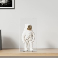  Display Box Transparent 20x20x38 cm Acrylic