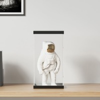  Display Box Transparent 20x20x38 cm Acrylic
