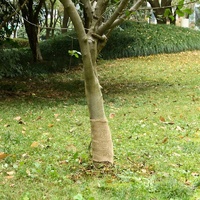  Jute Roll 0.25x25 m 100% Jute 200 gsm