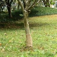  Jute Roll 0.25x50 m 100% Jute 200 gsm