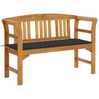  Garden Bench with Cushion 120 cm Solid Acacia Wood