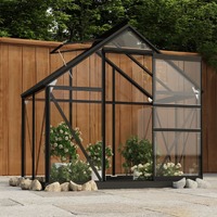  Glass Greenhouse Anthracite 155x103x191 cm Aluminium