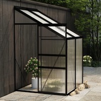  Greenhouse Anthracite Aluminium 2.59 m³