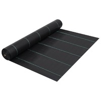  Weed &amp; Root Control Mat Black 2x5 m PP