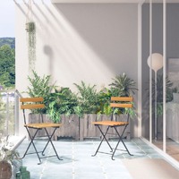  Folding Garden Chairs 2 pcs Steel and Solid Acacia Wood