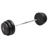  Curl Barbell with Plates 90 kg