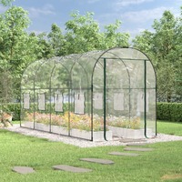  Greenhouse Transparent 160x400x190 cm PVC&amp;Powder-coated Steel