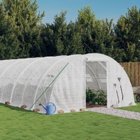  Greenhouse with Steel Frame White 24 m² 6x4x2 m