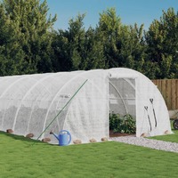  Greenhouse with Steel Frame White 32 m² 8x4x2 m