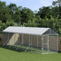 Outdoor Dog Kennel with Roof Silver 2x10x2.5 m Galvanised Steel