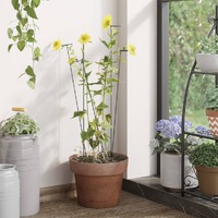  Garden Plant Stakes 20 pcs Dark Green 61 cm Steel