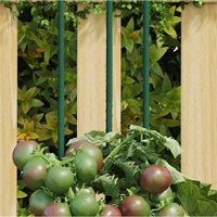  Garden Plant Stakes 30 pcs Green 150 cm Steel
