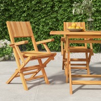 Folding Garden Chairs 2 pcs 55x61x90 cm Solid Wood Teak