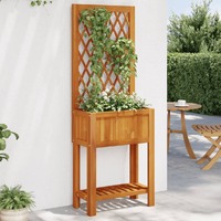  Planter with Trellis and Shelf 55x29.5x152 cm Solid Wood Acacia