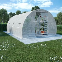  Greenhouse 13.5 m² 450x300x200 cm