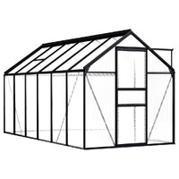 Greenhouse Anthracite Aluminium 7.03 m²