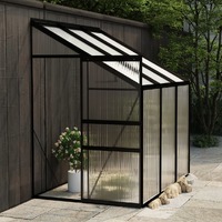  Greenhouse Anthracite Aluminium 3.8 m³
