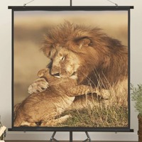  Projection Screen 182.9 cm 1:1