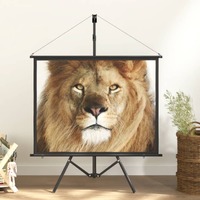  Projection Screen with Tripod 50&quot; 4:3