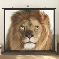  Projection Screen with Tripod 90&quot; 4:3