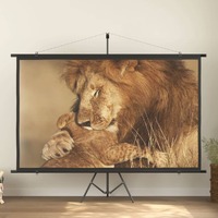  Projection Screen with Tripod 108&quot; 16:9