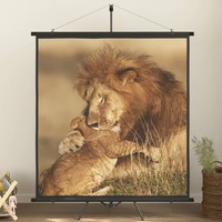  Projection Screen with Tripod 205.7 cm 1:1