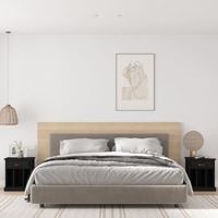  Bedside Cabinets 2 pcs Black 43x36x50 cm