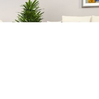  Coffee Table Grey Sonoma 80x80x36.5 cm Engineered Wood