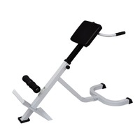 Back Extension Bench