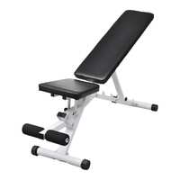  Fitness Workout Utility Bench