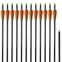  Standard Compound Bow Arrows 30&quot; 0.8 cm Fiberglass 12 pcs