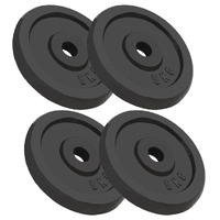  Weight Plates 4 pcs 4x5 kg Cast Iron