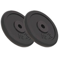  Weight Plates 2 pcs 2x10 kg Cast Iron