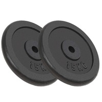  Weight Plates 2 pcs 2x15 kg Cast Iron