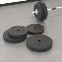  Weight Plates 4 pcs 30 kg Cement