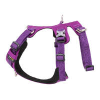 Whinhyepet Harness Purple XL