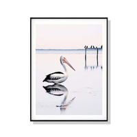 Wall Art 50cmx70cm Pelican Black Frame Canvas