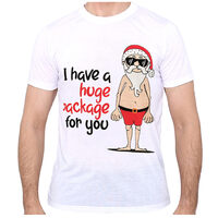 New Funny Adult Xmas Christmas T Shirt Tee Mens Womens 100% Cotton Jolly Ugly, I Have A Huge Package For You, XL