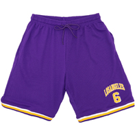 Men&#39;s Basketball Sports Shorts Gym Jogging Swim Board Boxing Sweat Casual Pants, Purple - Los Angeles 6, XL