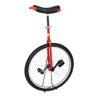 24&#39;&#39; Pro Circus Unicycle Bike