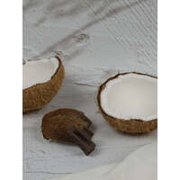 Claw Clip - Little Elongated Rectangle - Chocolate