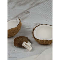 Claw Clip - Little Elongated Rectangle - Ivory