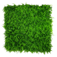 Mediterranean Fern Vertical Garden UV Stabilised 1m X 1m
