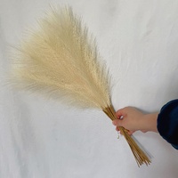 20 sticks Natural Beige Pampas Grass Bouquet-21.65&quot; Fluffy Dried Pampas for Home Decor and Events